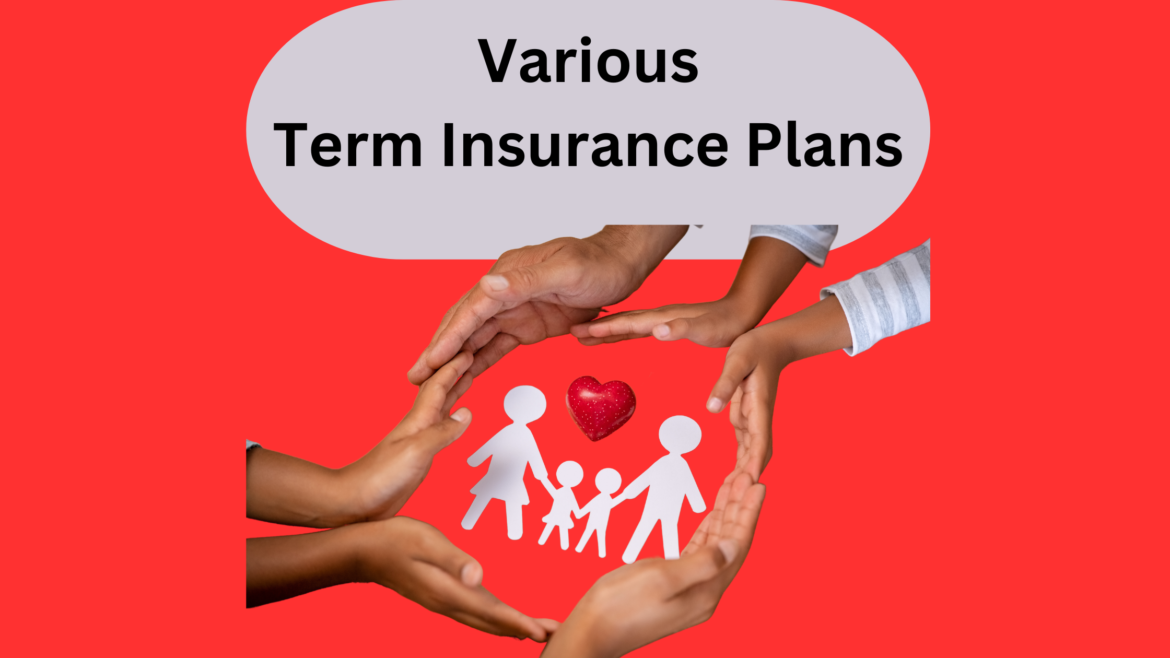 Needs and Types of Term Insurance