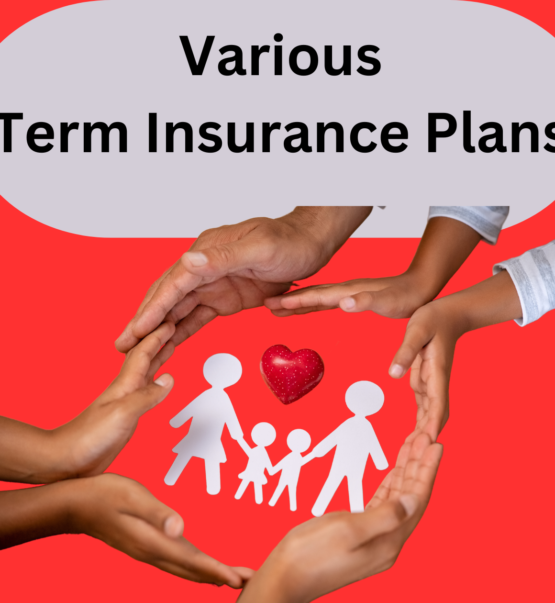 Needs and Types of Term Insurance