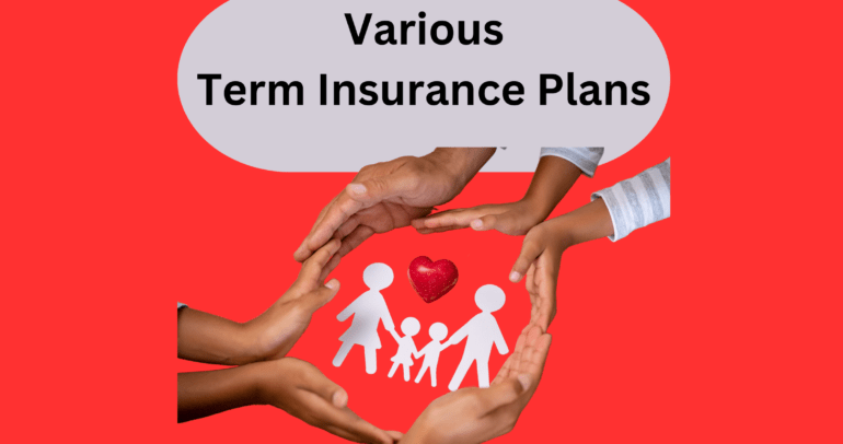 Needs and Types of Term Insurance